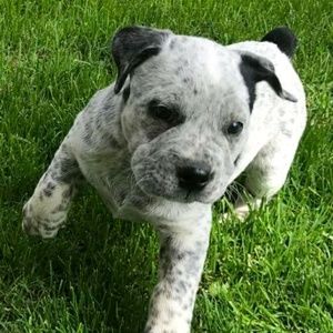 Meet your Posher, Tisha